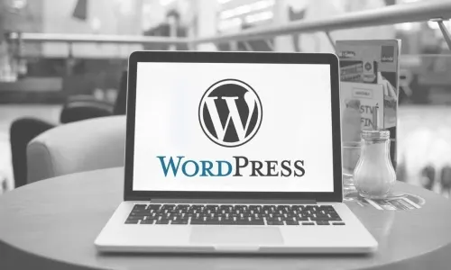 WordPress Hosting Nedir? Ava...