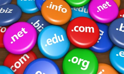 Domain Uzantılarının Anlamı ...