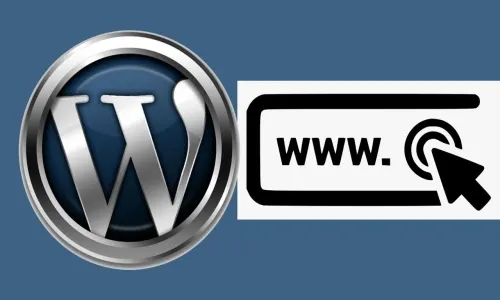 WordPress URL Değiştirme Nas...
