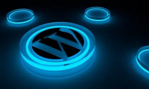 WordPress Eklentileri Ne İşe Yarar?